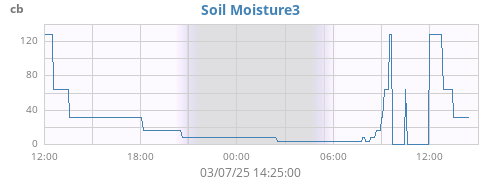 daymoistsoil