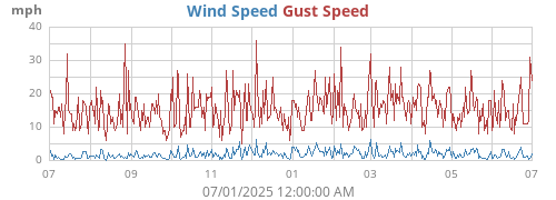 yearwind